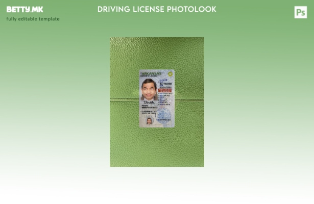 Модерен стил на САД Арканзас под шаблон за фото изглед на возачка дозвола